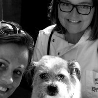 Pet Clinic 2000x510
